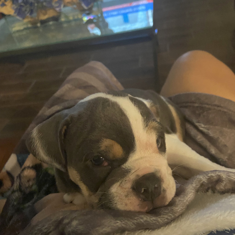 Meet your Posher, Diana